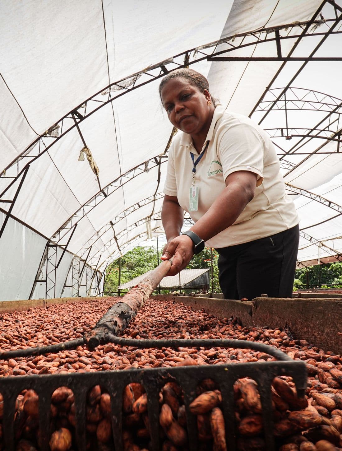 Une productrice étale des fèves de cacao pour le séchage